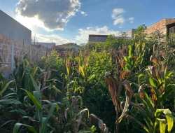 LOTE À VENDA NO RESIDENCIAL VEREDAS - PARÁ DE MINAS - MG