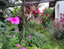 CASA À VENDA  - BAIRRO SÃO FRANCISCO - PARÁ DE MINAS