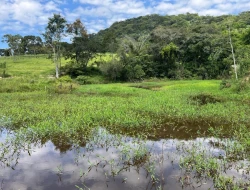 FAZENDA À VENDA – IGARATINGA/MG
