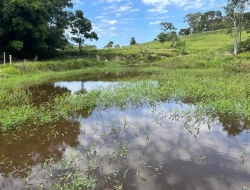 FAZENDA À VENDA – IGARATINGA/MG