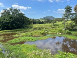 FAZENDA À VENDA – IGARATINGA/MG