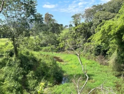 FAZENDA À VENDA – IGARATINGA/MG