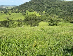 FAZENDA À VENDA – IGARATINGA/MG