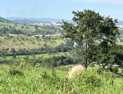 FAZENDA À VENDA – IGARATINGA/MG