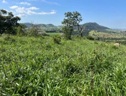 FAZENDA À VENDA – IGARATINGA/MG