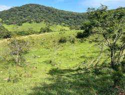 FAZENDA À VENDA – IGARATINGA/MG