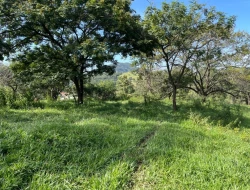 FAZENDA À VENDA – IGARATINGA/MG