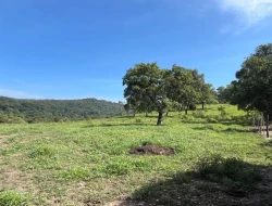 FAZENDA À VENDA – IGARATINGA/MG