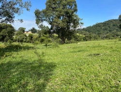 FAZENDA À VENDA – IGARATINGA/MG