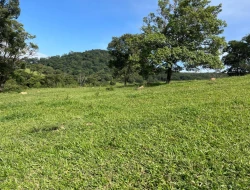 FAZENDA À VENDA – IGARATINGA/MG