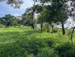 FAZENDA À VENDA – IGARATINGA/MG