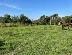 FAZENDA À VENDA – IGARATINGA/MG