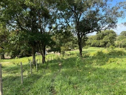 FAZENDA À VENDA – IGARATINGA/MG