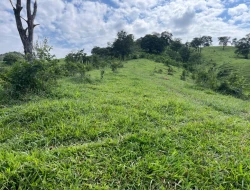 FAZENDA À VENDA – IGARATINGA/MG