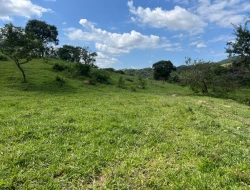 FAZENDA À VENDA – IGARATINGA/MG