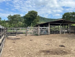 FAZENDA À VENDA – IGARATINGA/MG