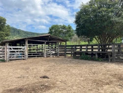 FAZENDA À VENDA – IGARATINGA/MG