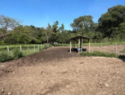 FAZENDA À VENDA – IGARATINGA/MG