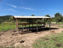 FAZENDA À VENDA – IGARATINGA/MG