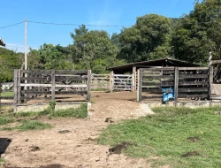 FAZENDA À VENDA – IGARATINGA/MG