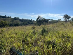 SÍTIO LOCALIZADO EM PARAÍSO - PARÁ DE MINAS - MG