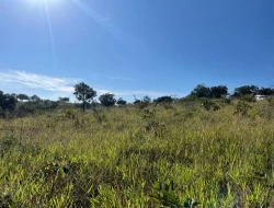 SÍTIO LOCALIZADO EM PARAÍSO - PARÁ DE MINAS - MG