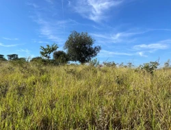 SÍTIO LOCALIZADO EM PARAÍSO - PARÁ DE MINAS - MG