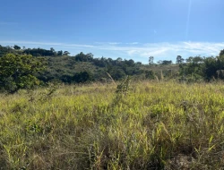 SÍTIO LOCALIZADO EM PARAÍSO - PARÁ DE MINAS - MG