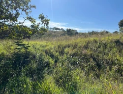 SÍTIO LOCALIZADO EM PARAÍSO - PARÁ DE MINAS - MG