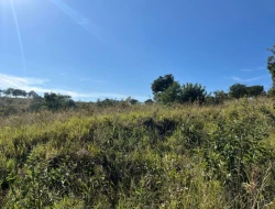 SÍTIO LOCALIZADO EM PARAÍSO - PARÁ DE MINAS - MG