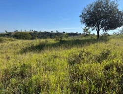 SÍTIO LOCALIZADO EM PARAÍSO - PARÁ DE MINAS - MG