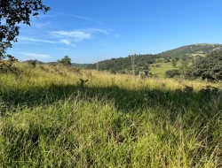 SÍTIO LOCALIZADO EM PARAÍSO - PARÁ DE MINAS - MG