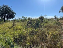 SÍTIO LOCALIZADO EM PARAÍSO - PARÁ DE MINAS - MG