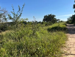 SÍTIO LOCALIZADO EM PARAÍSO - PARÁ DE MINAS - MG
