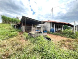 SÍTIO À VENDA PAIVAS - PARÁ DE MINAS - MG