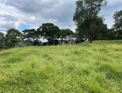 SÍTIO À VENDA PAIVAS - PARÁ DE MINAS - MG