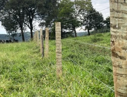 SÍTIO À VENDA PAIVAS - PARÁ DE MINAS - MG