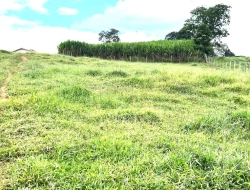 SÍTIO À VENDA PAIVAS - PARÁ DE MINAS - MG