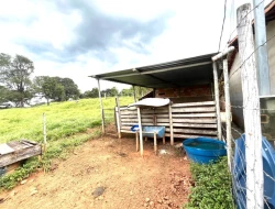 SÍTIO À VENDA PAIVAS - PARÁ DE MINAS - MG