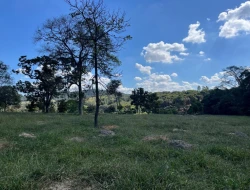 SÍTIO À VENDA EM CACHOERIA DE ALMA - FLORESTAL - MG