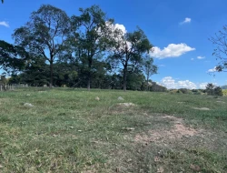 SÍTIO À VENDA EM CACHOERIA DE ALMA - FLORESTAL - MG