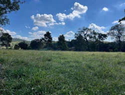 SÍTIO À VENDA EM CACHOERIA DE ALMA - FLORESTAL - MG