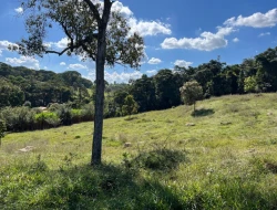 SÍTIO À VENDA EM CACHOERIA DE ALMA - FLORESTAL - MG