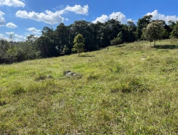 SÍTIO À VENDA EM CACHOERIA DE ALMA - FLORESTAL - MG