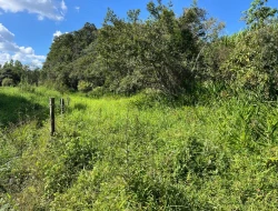 SÍTIO À VENDA EM CACHOERIA DE ALMA - FLORESTAL - MG