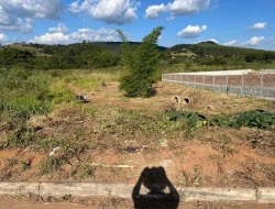 LOTE À VENDA - MATINHA - PARÁ DE MINAS - MG