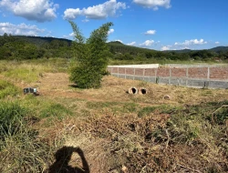 LOTE À VENDA - MATINHA - PARÁ DE MINAS - MG