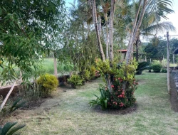 CHÁCARA À VENDA - 11000 M²  EM PARAÍSO - PARÁ DE MINAS - MG - PRÓXIMO AOS PENHAS
