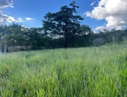 CHÁCARA À VENDA - 11000 M²  EM PARAÍSO - PARÁ DE MINAS - MG - PRÓXIMO AOS PENHAS