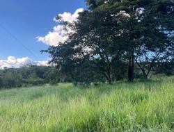 CHÁCARA À VENDA - 11000 M²  EM PARAÍSO - PARÁ DE MINAS - MG - PRÓXIMO AOS PENHAS
